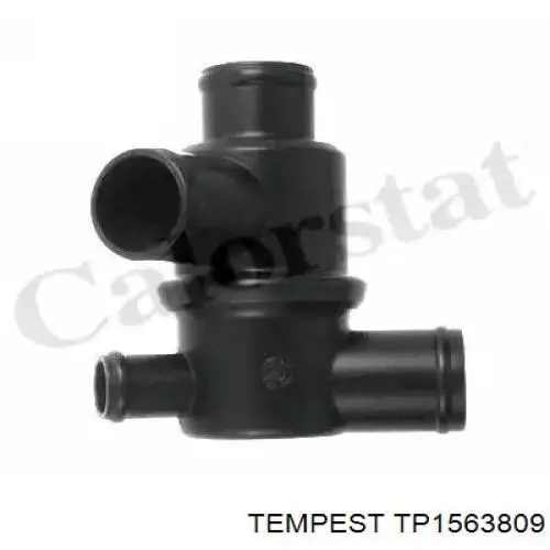 TP1563809 Tempest Радіатор охолодження двигуна