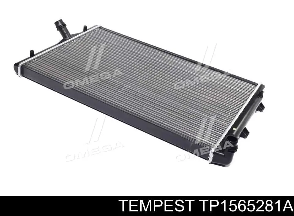 Радіатор основний Tempest TP1565281A ціна, від 60.81 USD