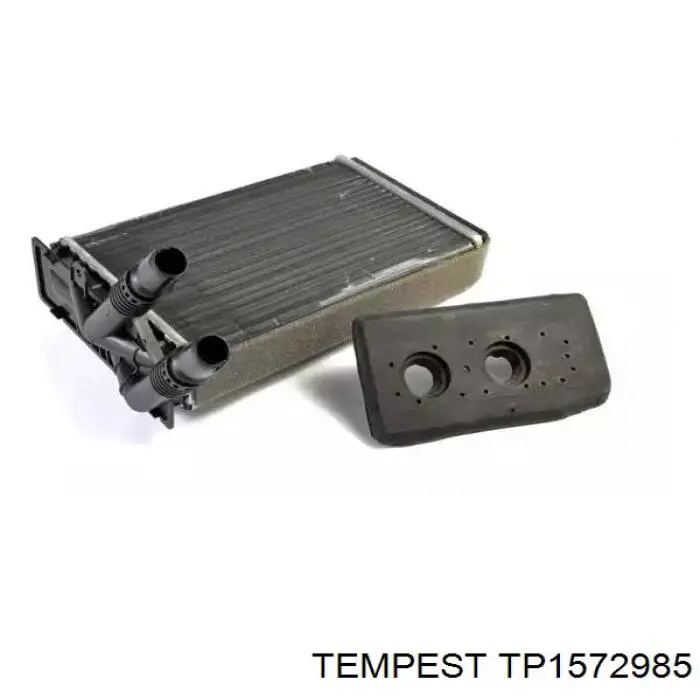 TP1572985 Tempest Радіатор опалювача салону