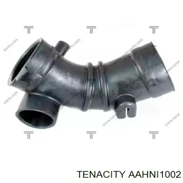  AAHNI1002 Tenacity