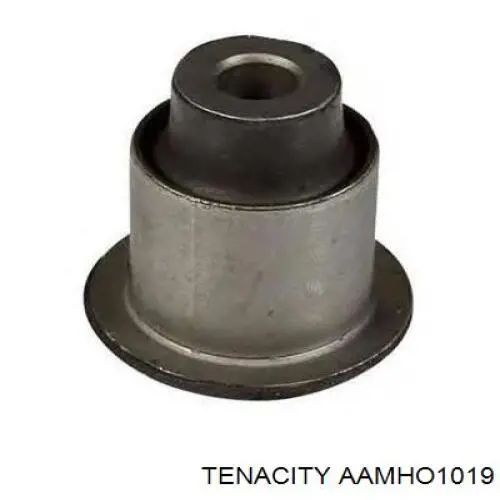 Купити AAMHO1019 Tenacity Сайлентблок передньої підвіски