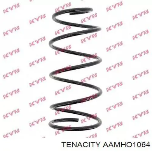 AAMHO1064 Tenacity Сайлентблок переднього нижнього важеля