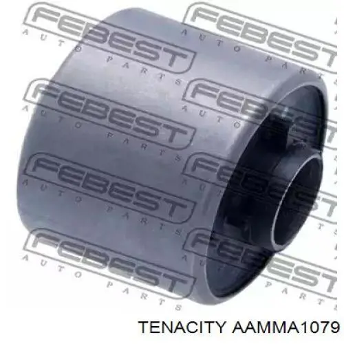 Купити AAMMA1079 Tenacity Лівий важіль передній нижній підвіски
