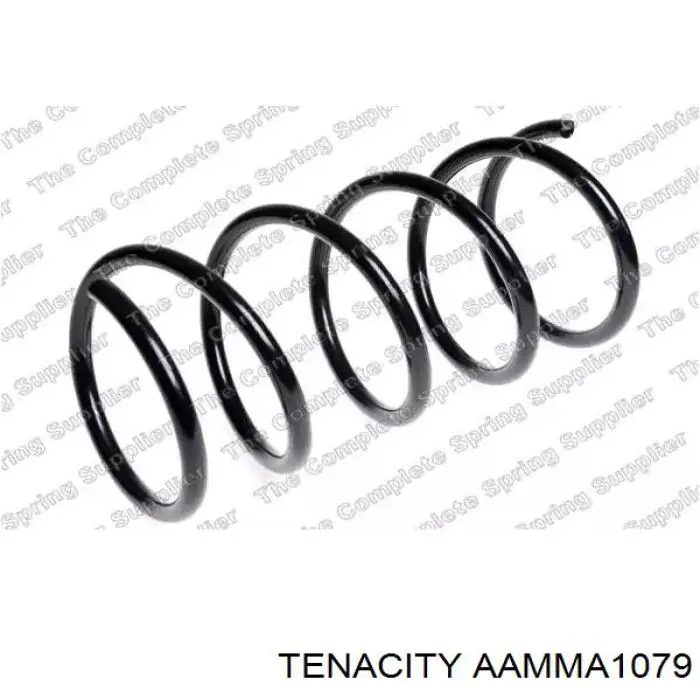 Важіль передньої підвіски нижній, лівий AAMMA1079 Tenacity