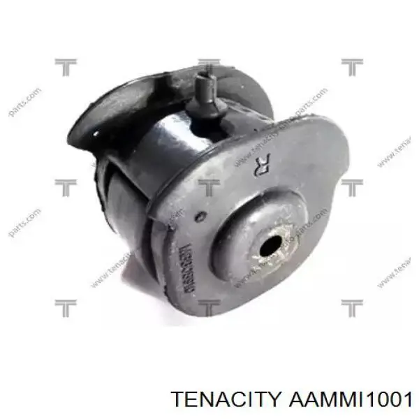 Сайлентблок переднього важеля AAMMI1001 Tenacity