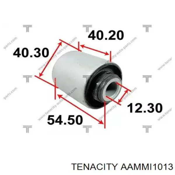 Купити AAMMI1013 Tenacity Сайлентблок передньої підвіски