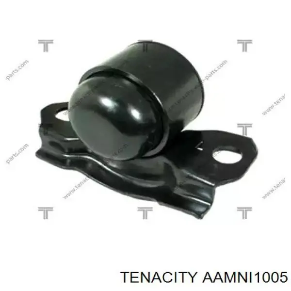 Купити AAMNI1005 Tenacity Сайлентблок передньої підвіски