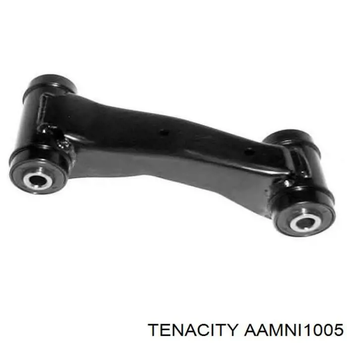 Сайлентблок переднього важеля AAMNI1005 Tenacity