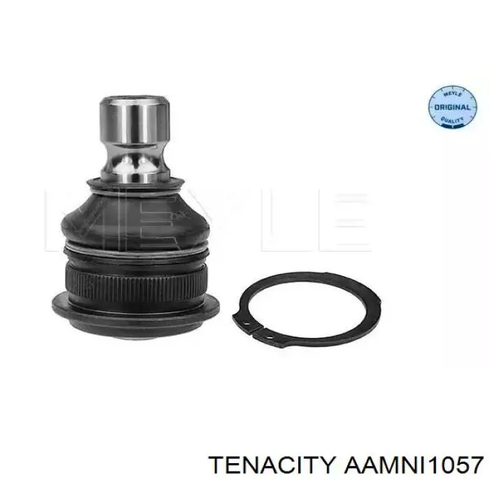 Купити AAMNI1057 Tenacity Сайлентблок передньої підвіски