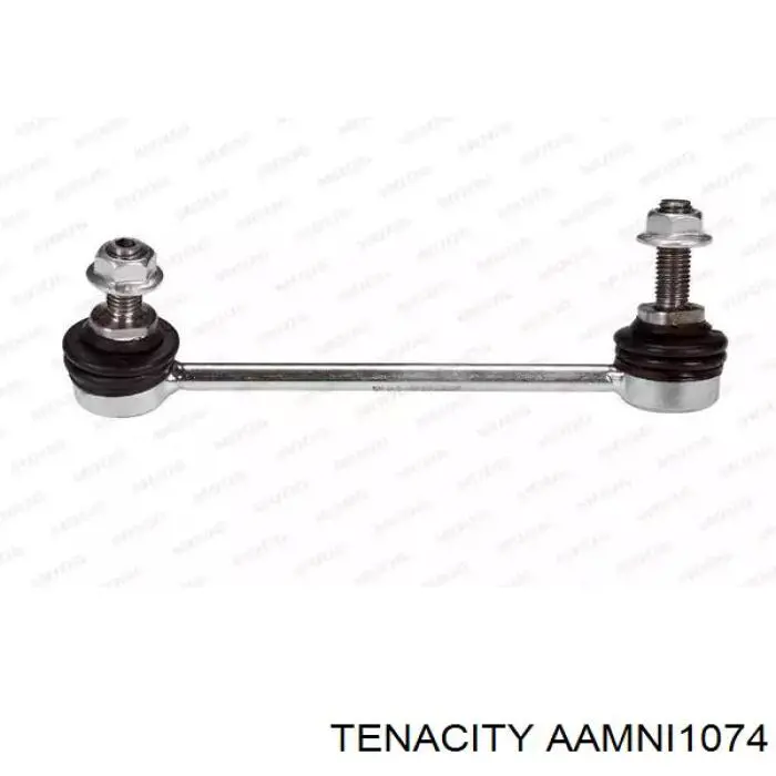 AAMNI1074 Tenacity Сайлентблок переднього нижнього важеля