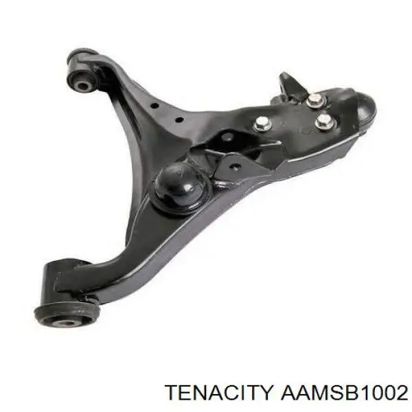 Купити AAMSB1002 Tenacity Сайлентблок передньої підвіски