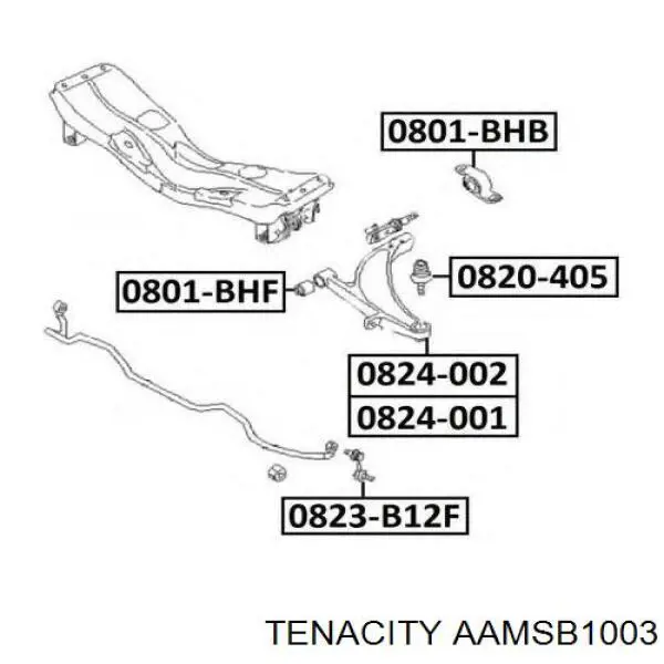 AAMSB1003 Tenacity Сайлентблок переднього нижнього важеля