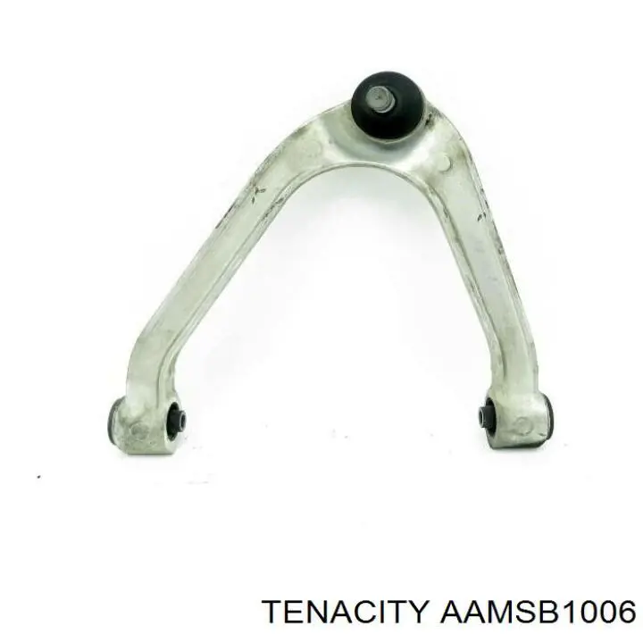 Сайлентблок переднього важеля AAMSB1006 Tenacity
