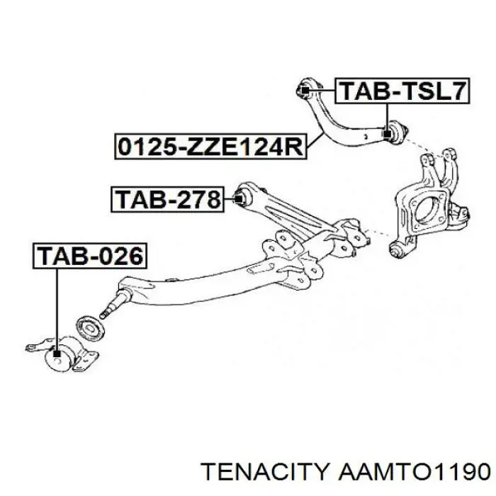 Сайлентблок заднього нижнього важеля AAMTO1190 Tenacity