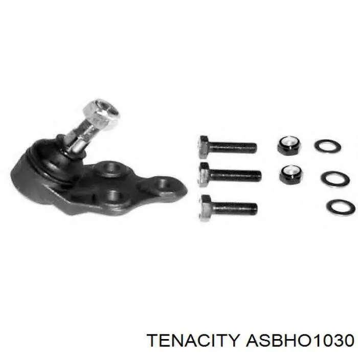 Купити ASBHO1030 Tenacity Подушка стабілізатора передня