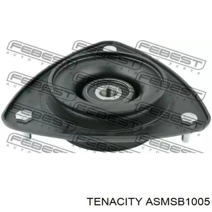  ASMSB1005 Tenacity