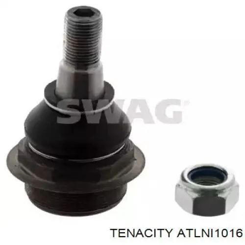 ATLNI1016 Tenacity Стійка стабілізатора, заднього, права