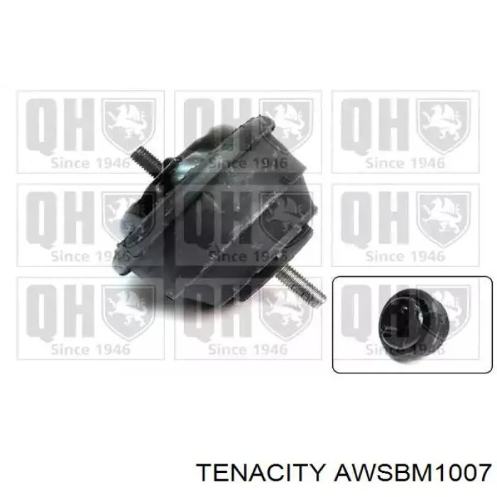 Купити AWSBM1007 Tenacity Подушка (опора) двигуна ліва/права