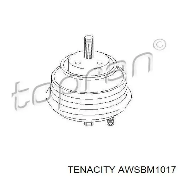 Подушка (опора) двигуна, права AWSBM1017 Tenacity