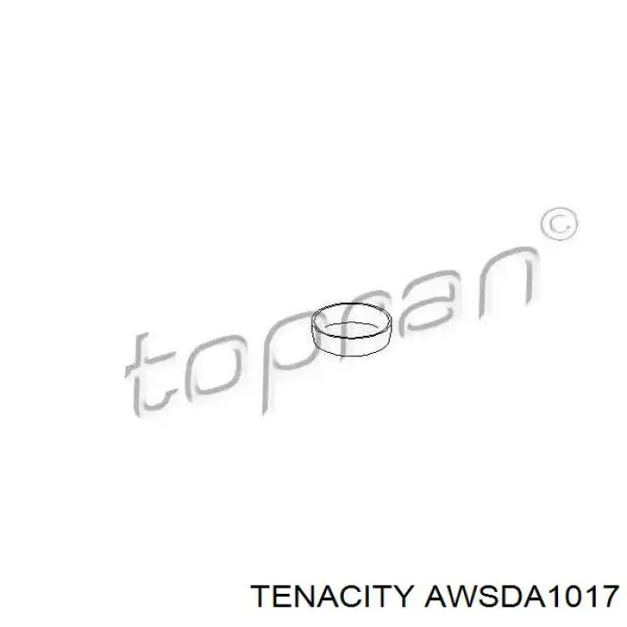 AWSDA1017 Tenacity Права подушка мотора