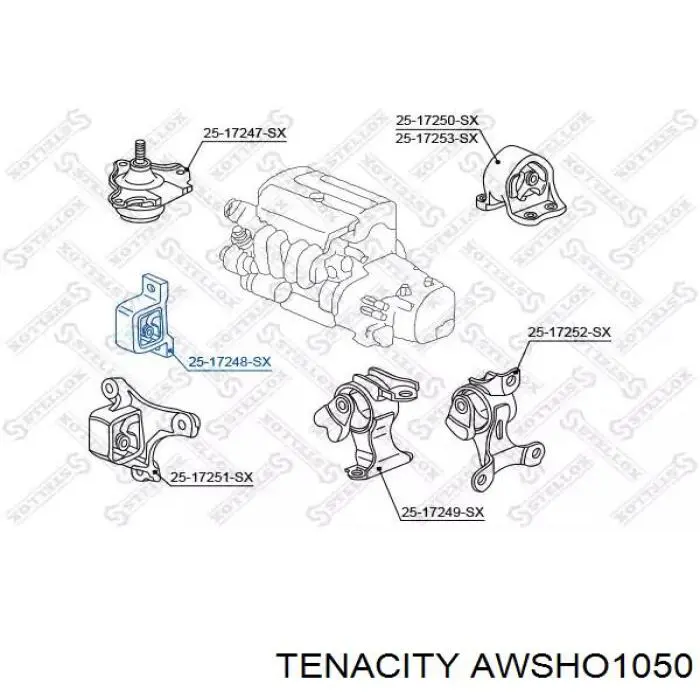 AWSHO1050 Tenacity подушка (опора двигуна, передня)