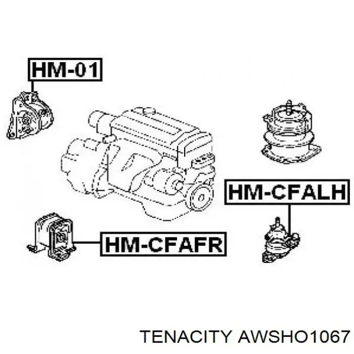 Подушка (опора) двигуна, передня Tenacity AWSHO1067 ціна, від 17.98 USD