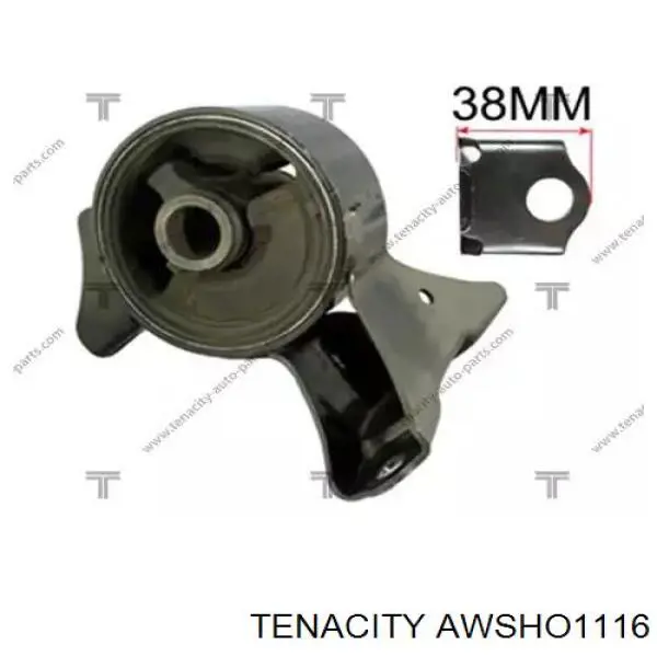 Купити AWSHO1116 Tenacity 