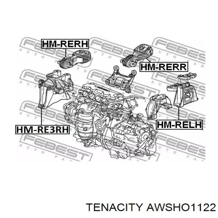 Подушка (опора) двигуна, права нижня AWSHO1122 Tenacity