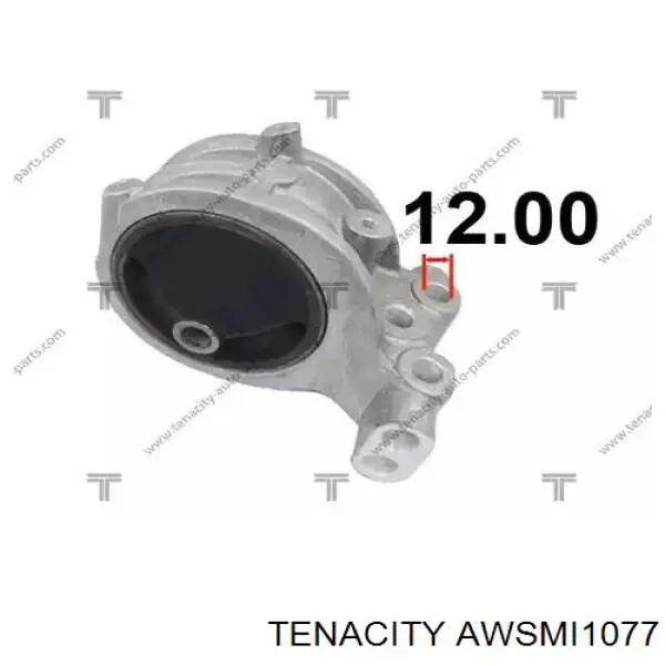 AWSMI1077 Tenacity Права подушка мотора