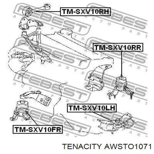 AWSTO1071 Tenacity подушка трансмісії (опора коробки передач)