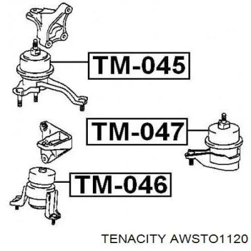 AWSTO1120 Tenacity подушка (опора двигуна, передня)