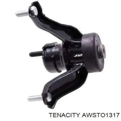  AWSTO1317 Tenacity