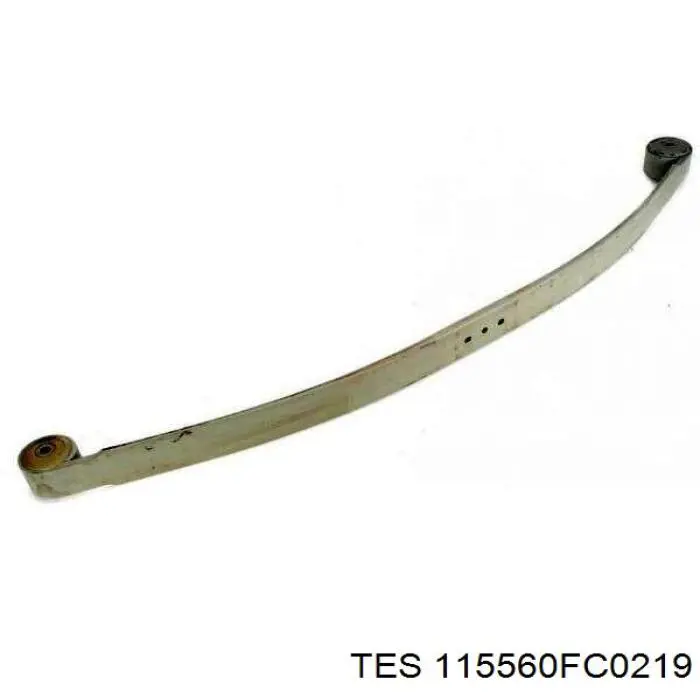 115560FC0219 TES 