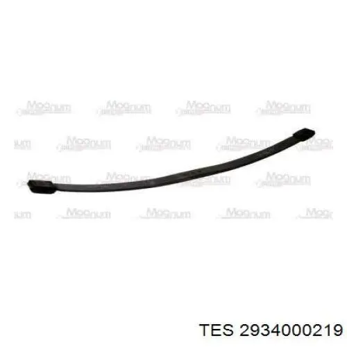  2934000219 TES