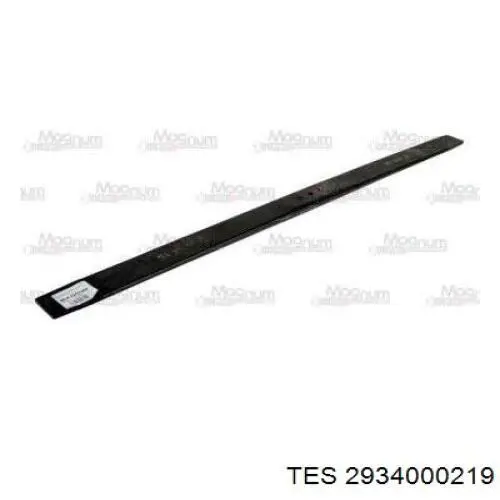 2934000219 TES 