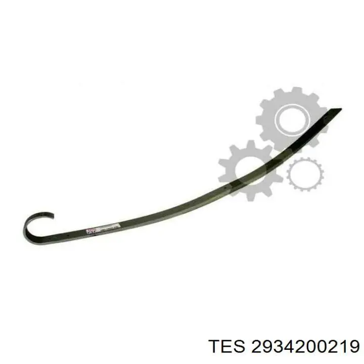  2934000219 TES