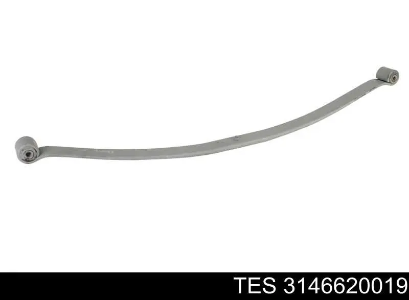 3146620019 TES Ресора (задня)