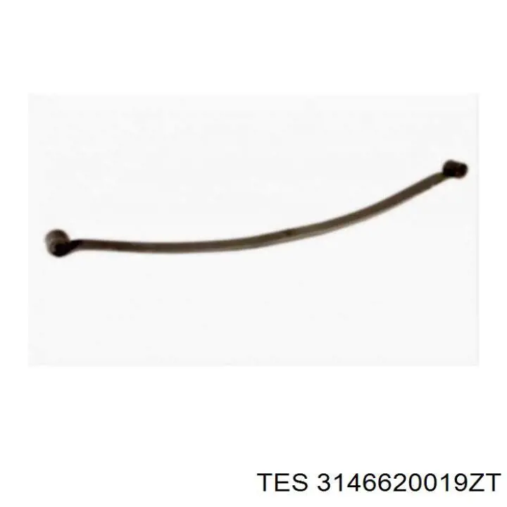 3146620019ZT TES 