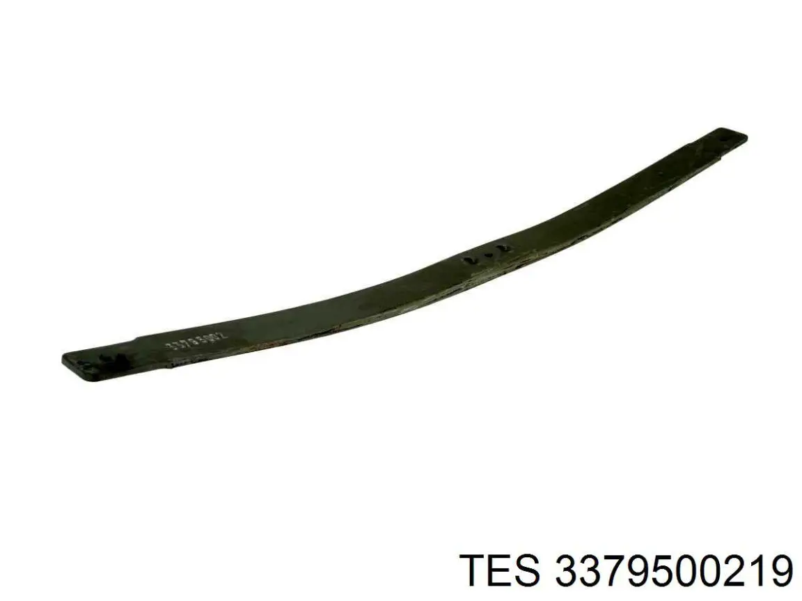 3379500219 TES Ресора (задня)