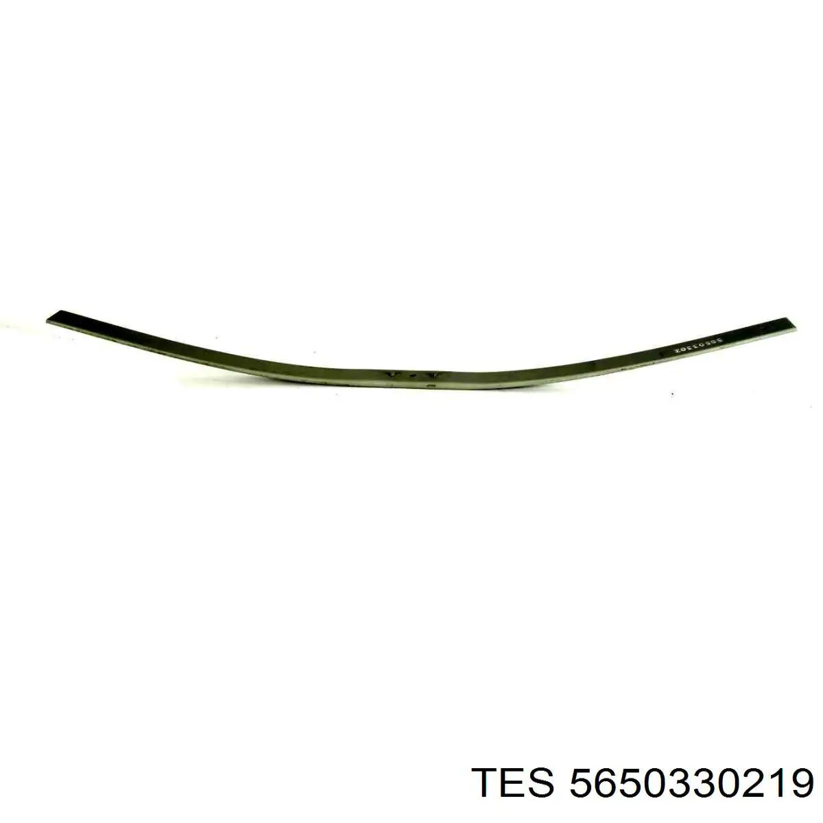 Ресори задні 5650330119 TES
