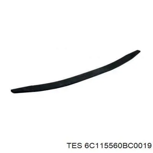 Купити 6C115560BC0019 TES 