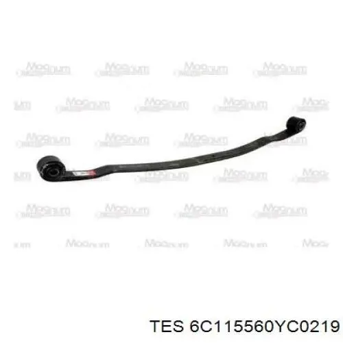 6C115560YC0219 TES 