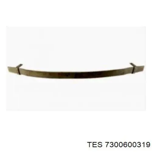  73006003 Schomacker