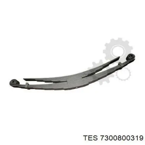 Купити 7300800319 TES 