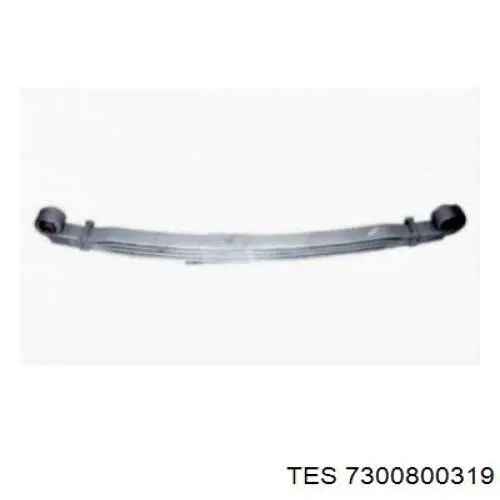  7300800319 TES