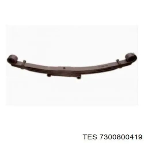 7300800419 TES 
