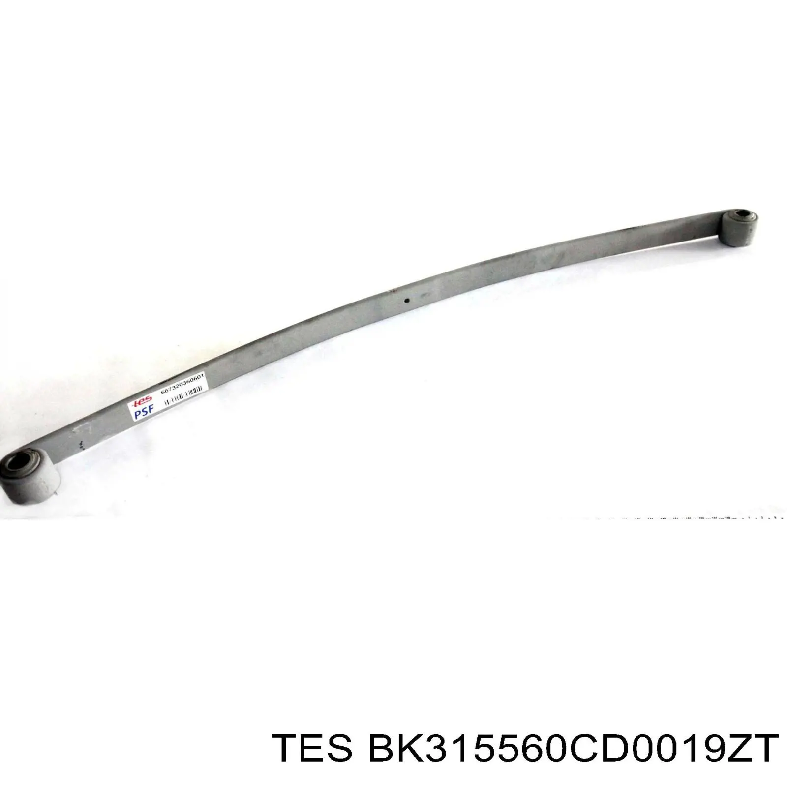  BK315560CD0019ZT TES