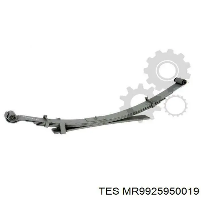  MR9925950019 TES