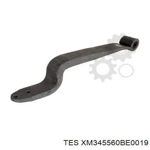 XM345560BE0019 TES 