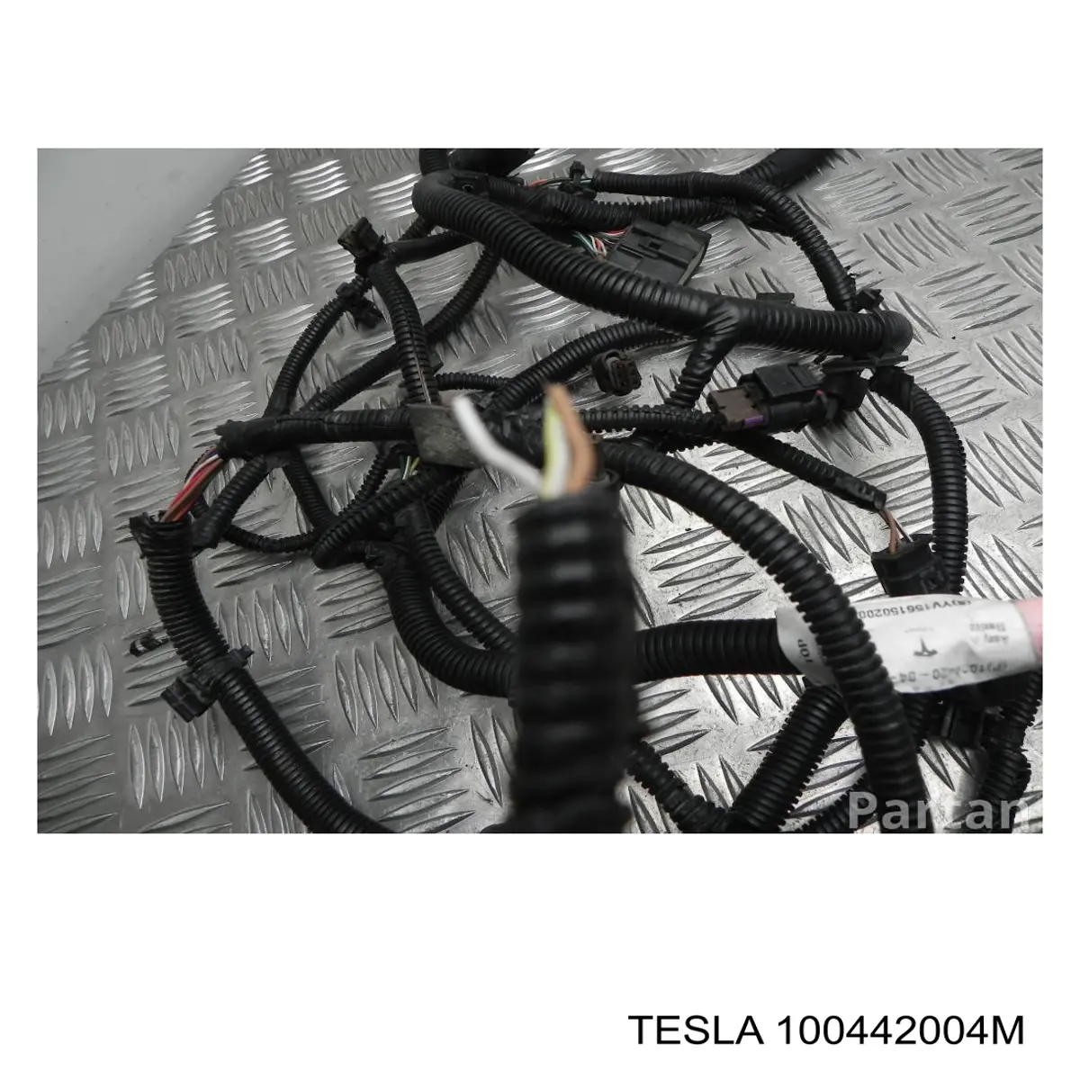 100442004M Tesla 